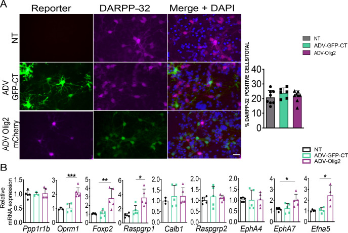 Figure 6—figure supplement 2.