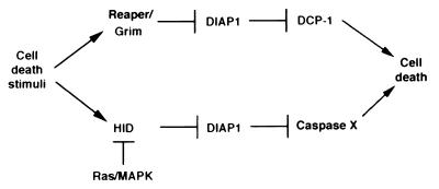 FIG. 8