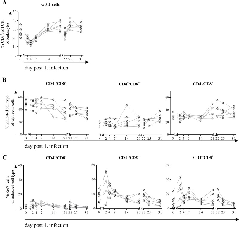 Fig 6