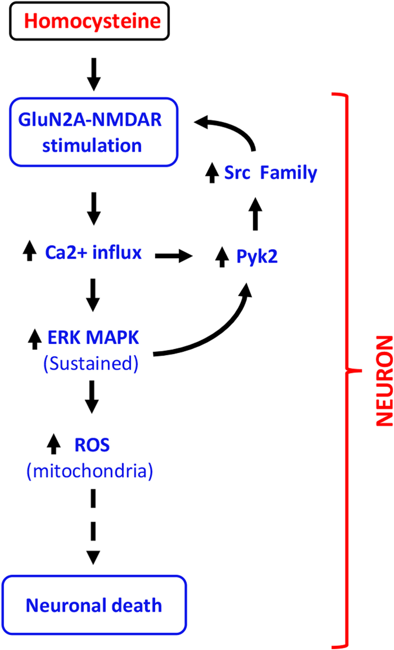 Figure 9