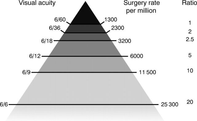 Figure 1  