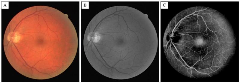 Fig. 6