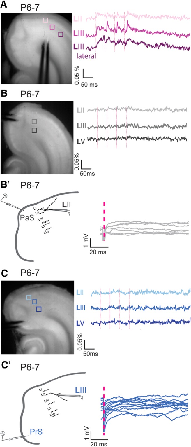 Figure 5.