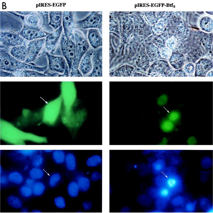 FIG. 9