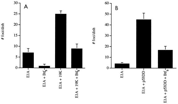 FIG. 8