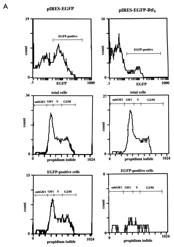 FIG. 9