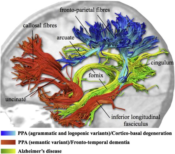 Fig. 9