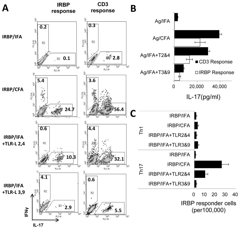 Fig. 3