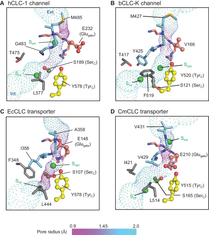 Figure 6.