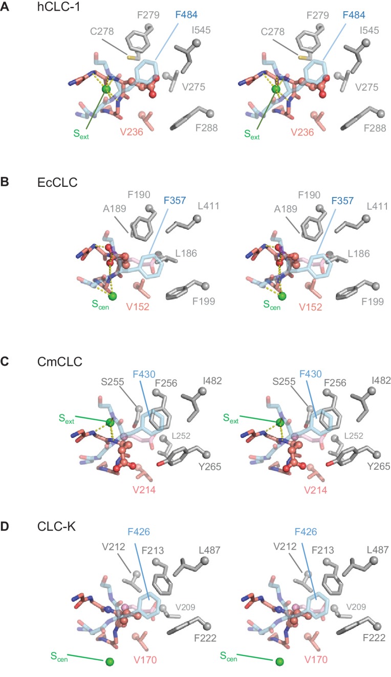 Figure 4—figure supplement 1.