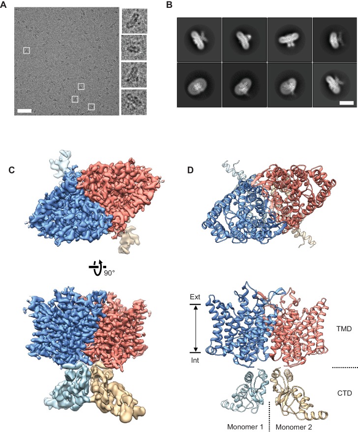 Figure 2.