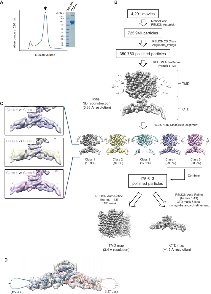 Figure 2—figure supplement 1.