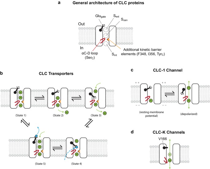 Figure 7.