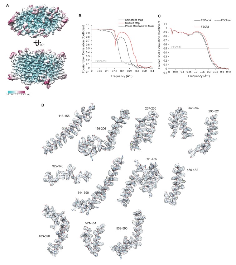 Figure 2—figure supplement 2.