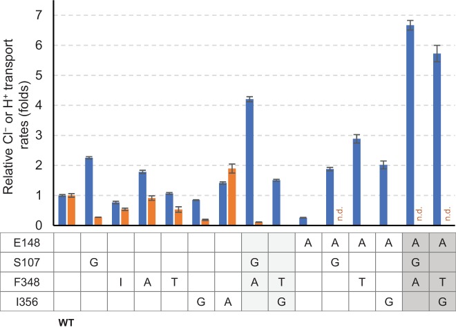 Figure 8—figure supplement 1.