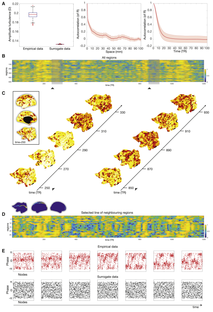 Figure 2