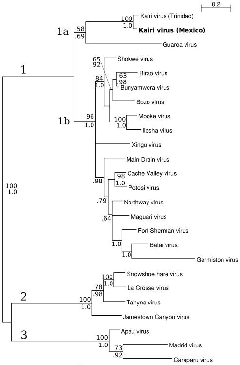 Fig. 1