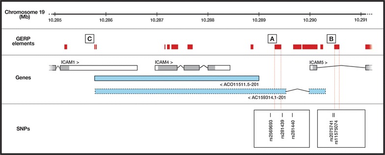 Fig. 1