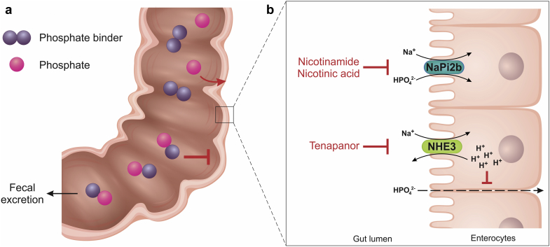 Figure 1