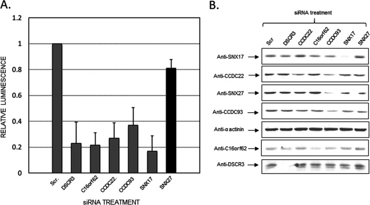 FIG 1