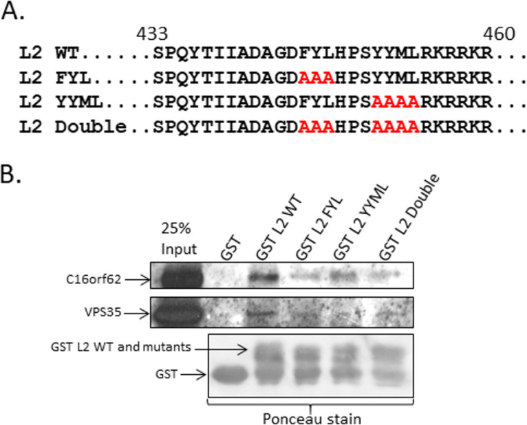 FIG 2