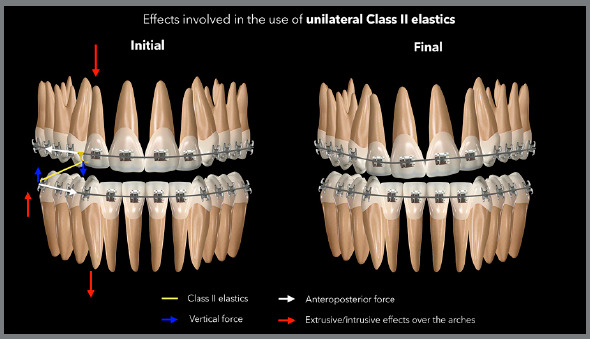 Figure 7: