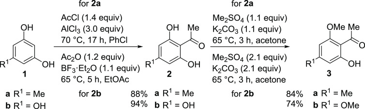 Scheme 2