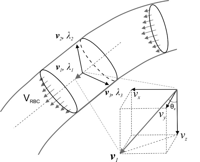 FIG. 1.