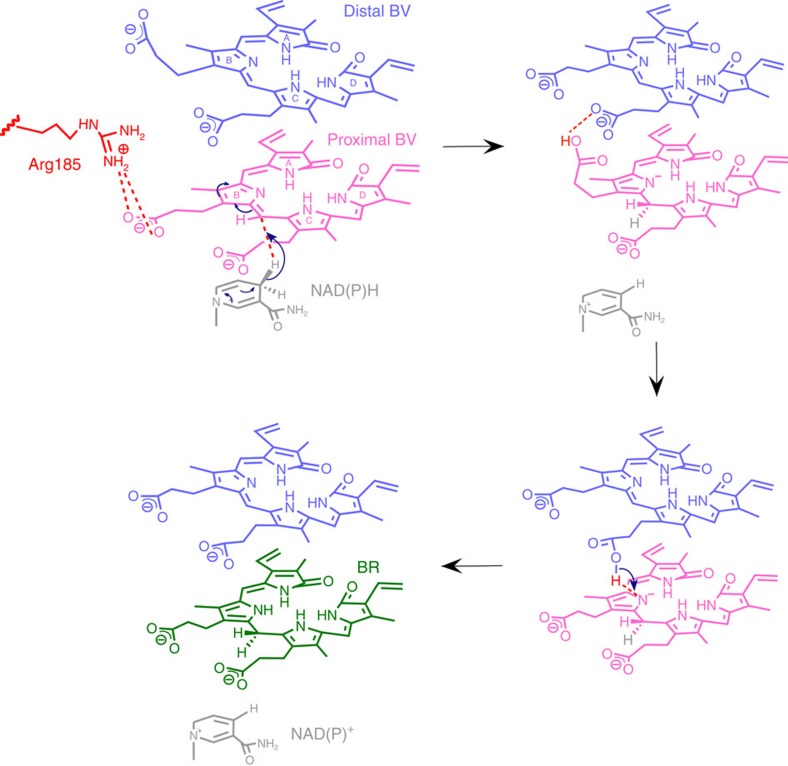 Figure 7