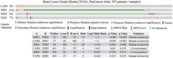 FIGURE 1