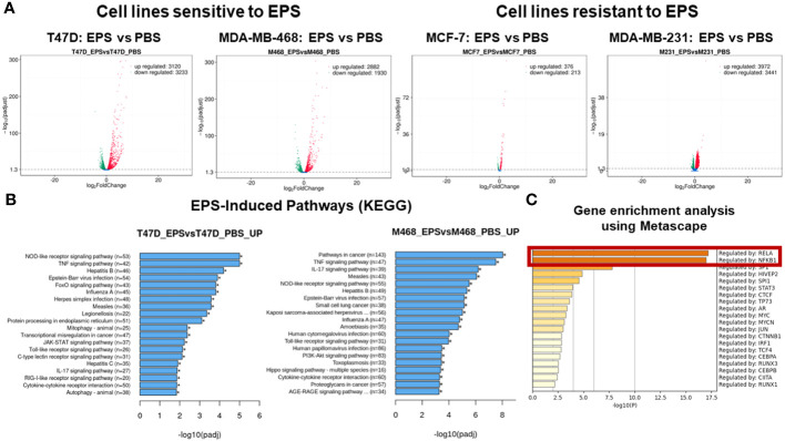 Figure 4