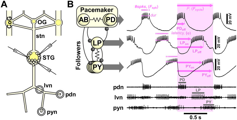 Figure 1.