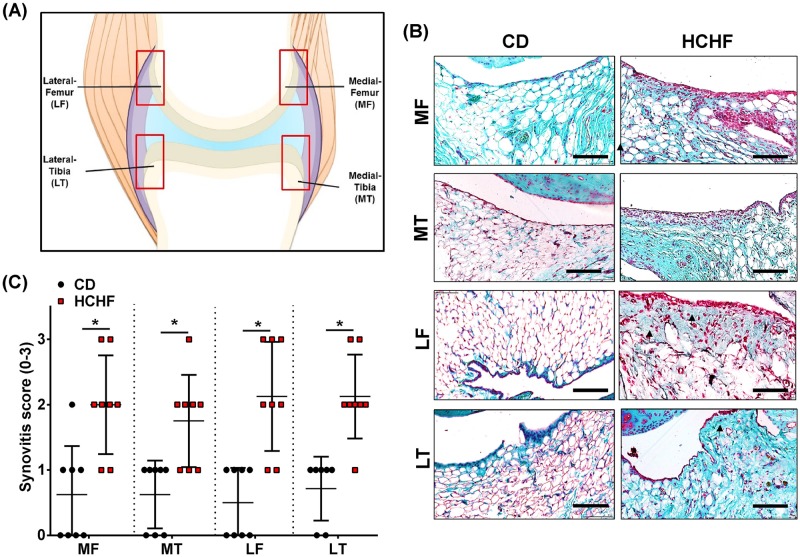 Fig 3