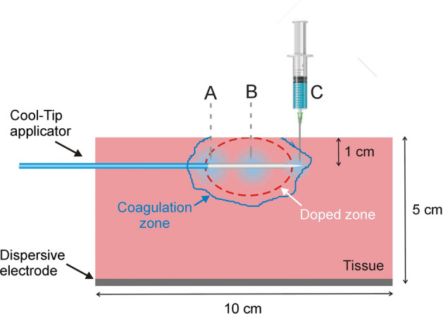 Fig. 7