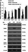 Fig. 6