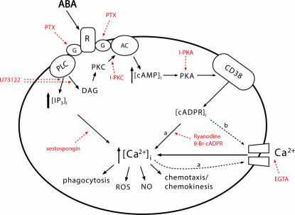 Fig. 3.