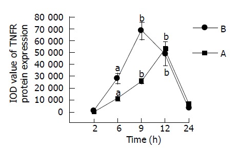 Figure 8