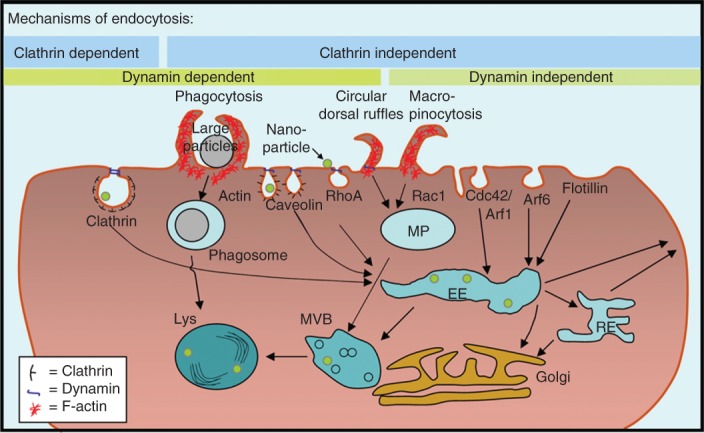 FIGURE 2