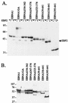 FIG. 7