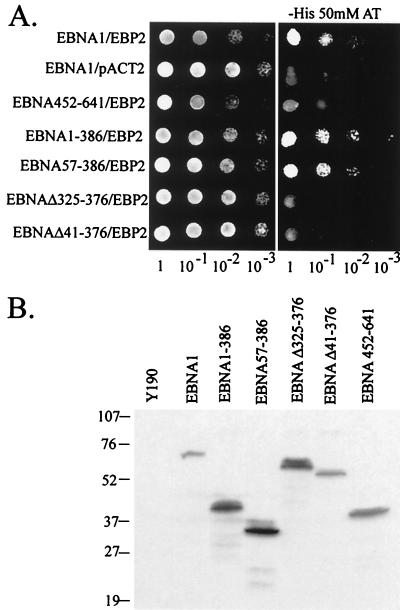 FIG. 8