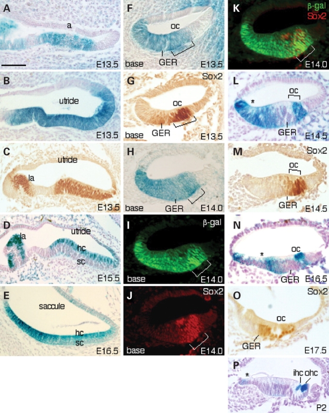 Figure 4.