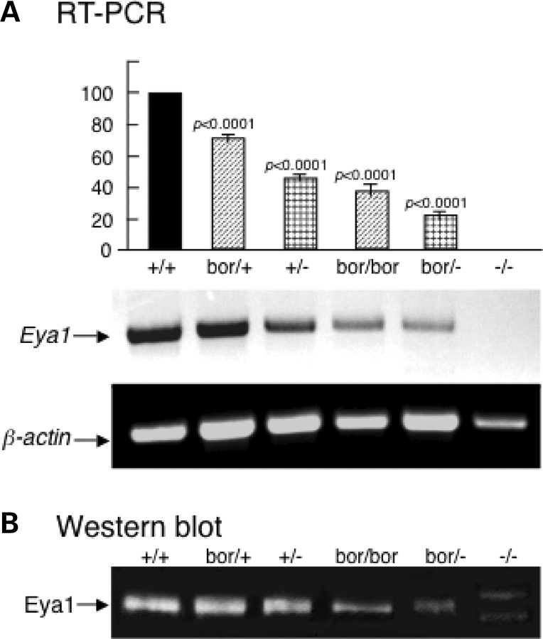 Figure 1.