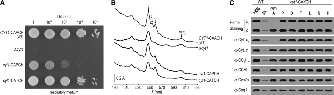 Figure 3.—