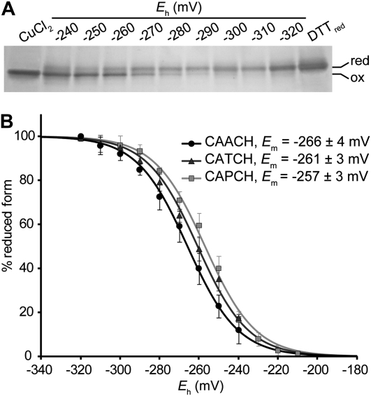 Figure 4.—