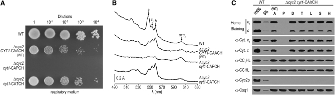 Figure 2.—