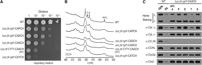 Figure 5.—