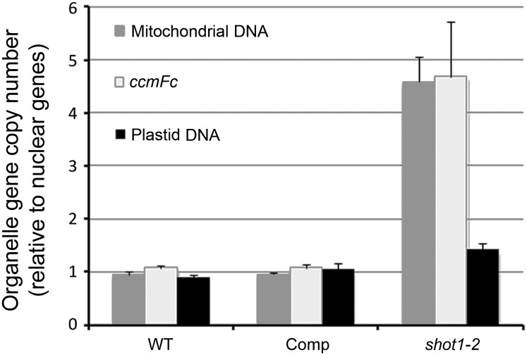 Figure 7.