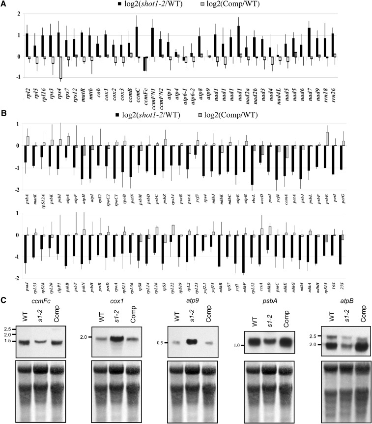 Figure 6.