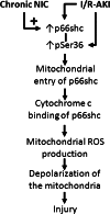 FIGURE 6: