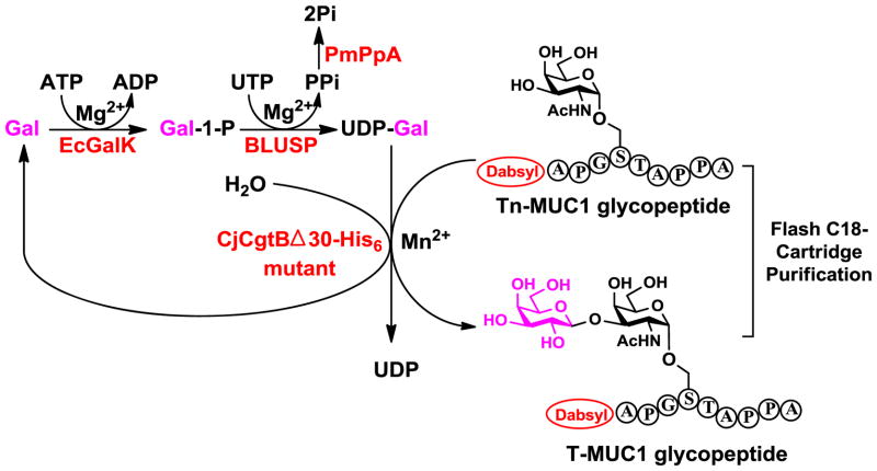 Scheme 3